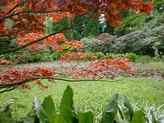 The Grounds at Whirlowbrook Hall