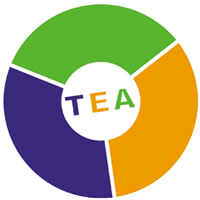 The TEA model to analyse thoughts, emotions and actions