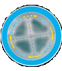 The 4-mat System
